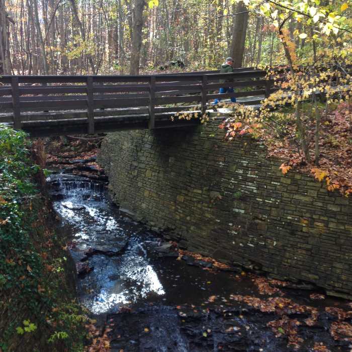 Near North Chagrin Mega Loop