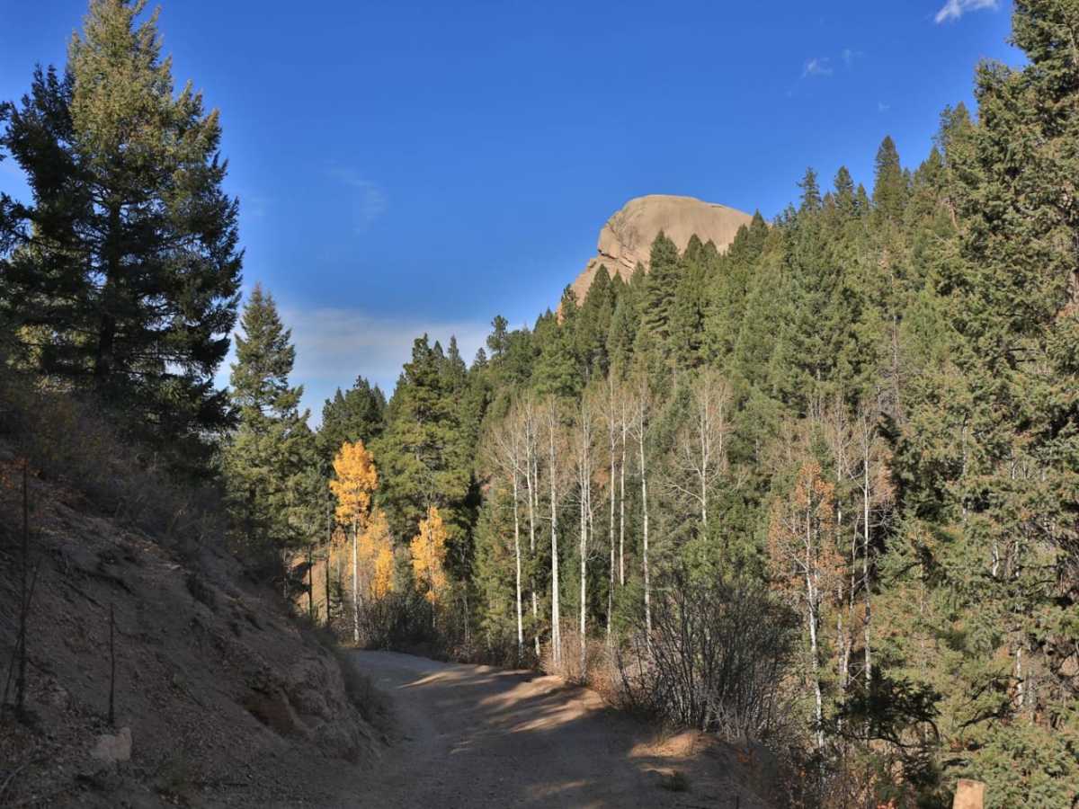 Jackson Creek South/ Watson Park photo 5