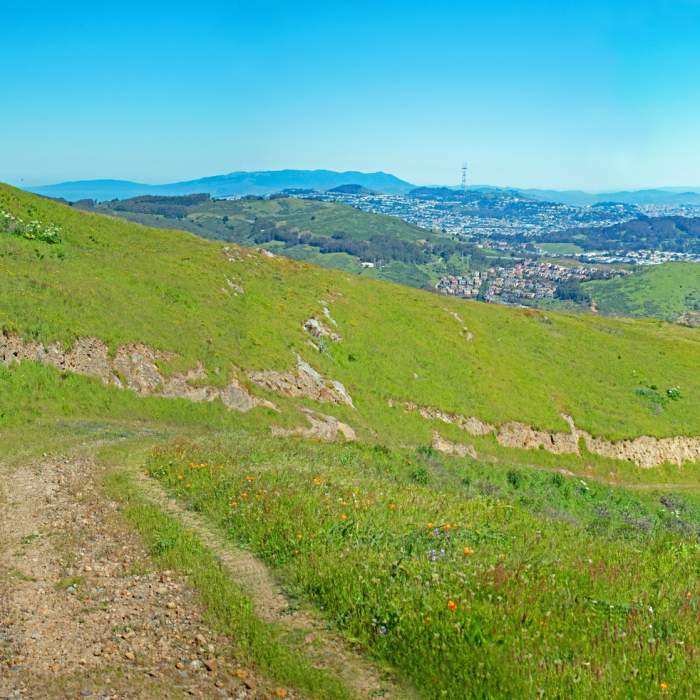 Near Ridge Trail