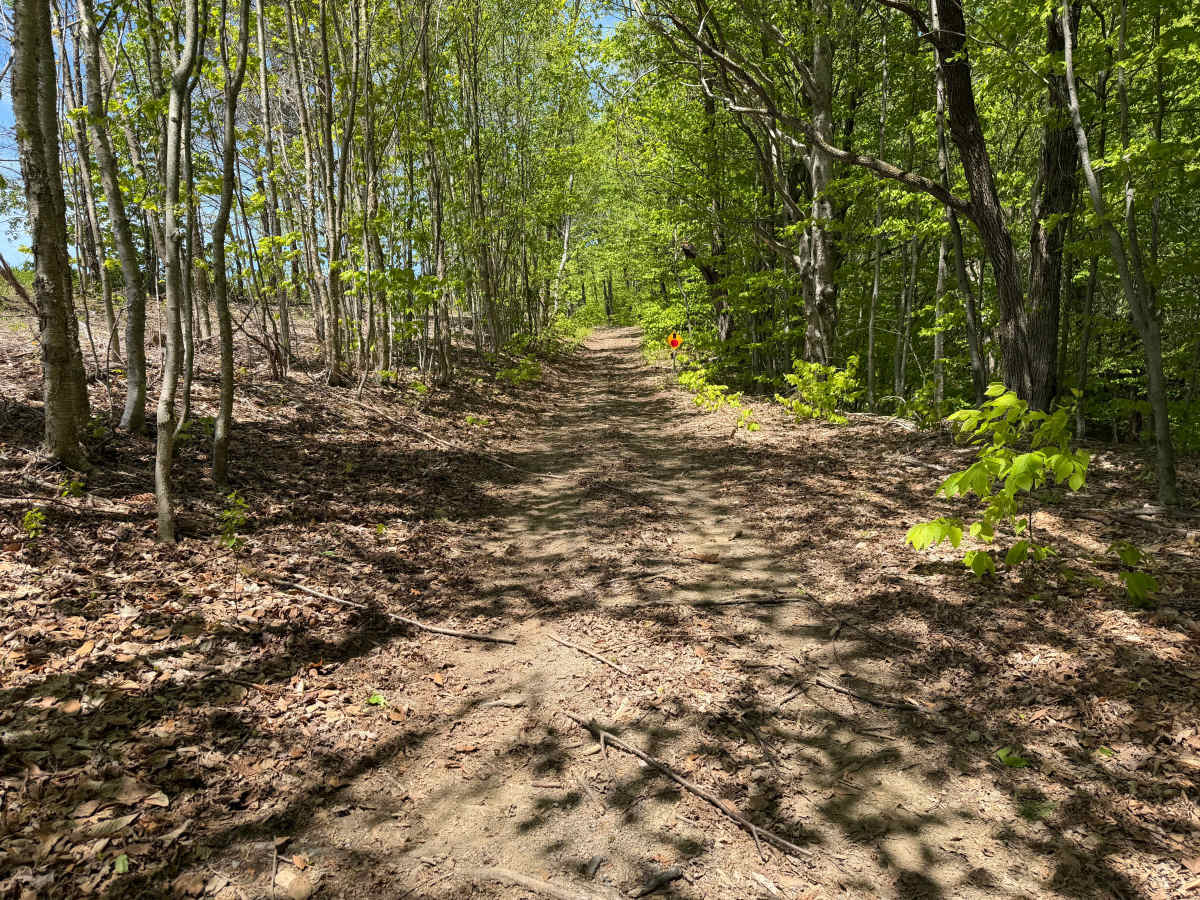 Grower Green Trail East - 1 photo 5