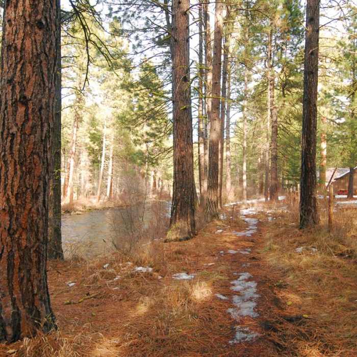 Near Metolius River, Allingham Bridge Hike