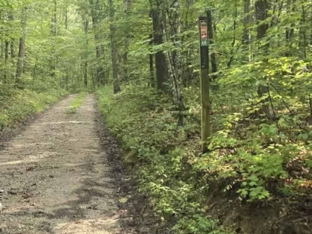 Upper Burke Field Road photo 5