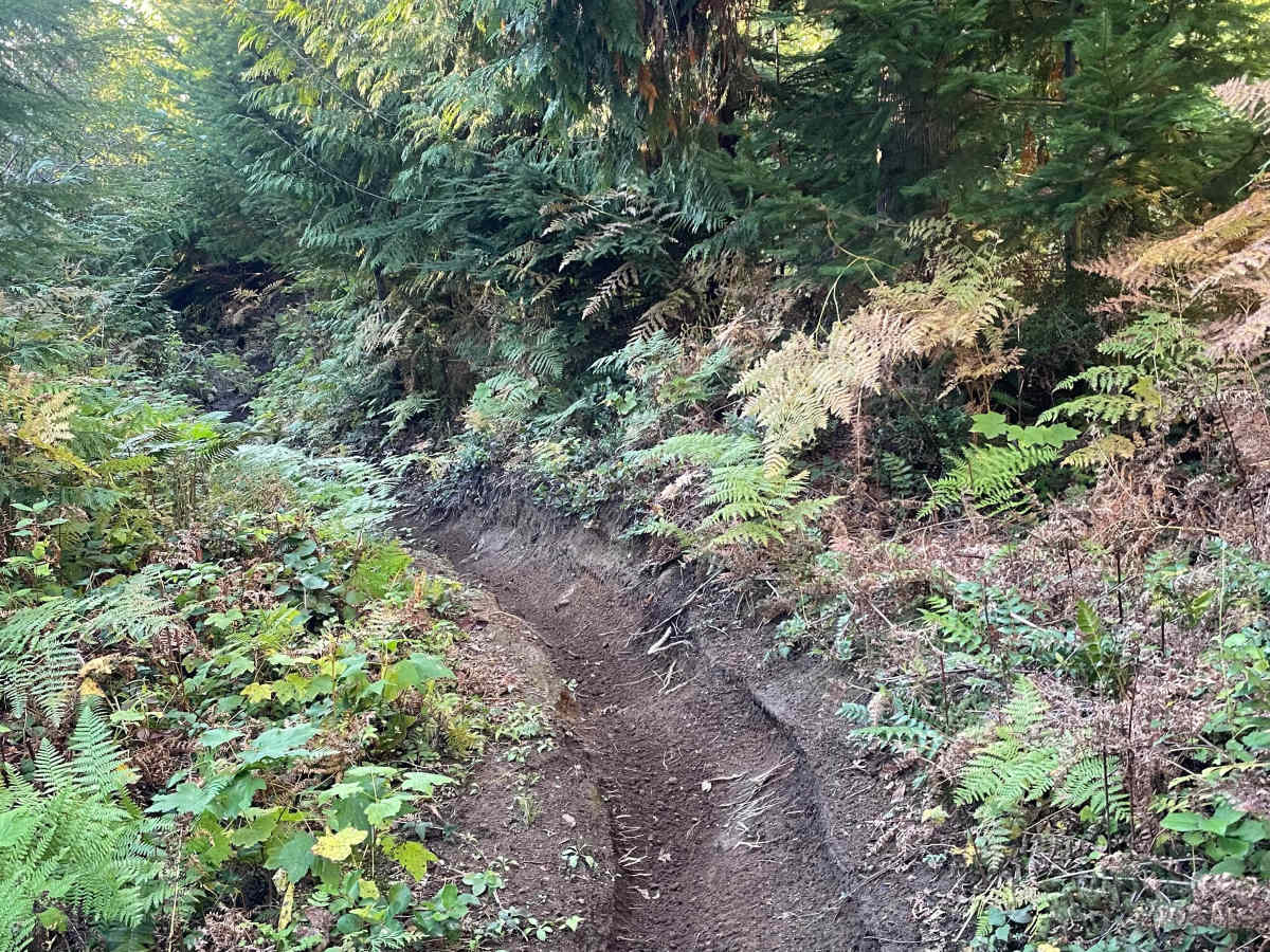 Hayden's Trail photo 6