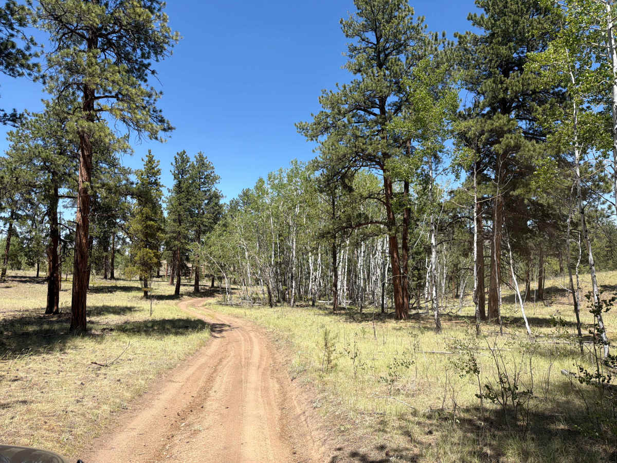 Jackpot Road - FSR 243 1C photo 5