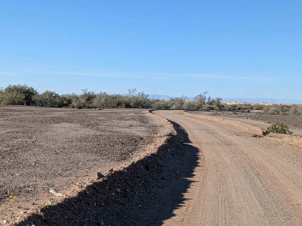 Western Mesquite Mines Road - BLM 541 photo 5