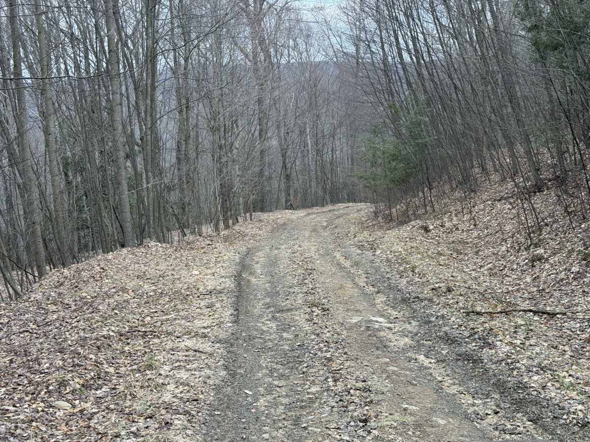 Colby Run - FS 02338 photo 4