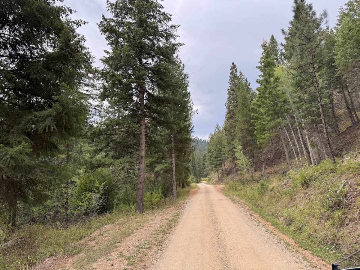 Piquett Creek Part 1 photo 3