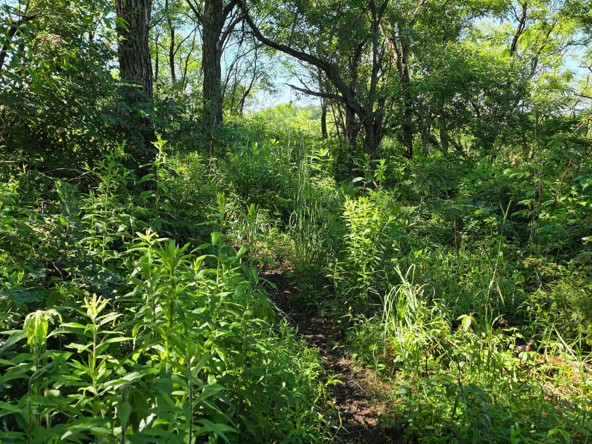Single Track L photo 4