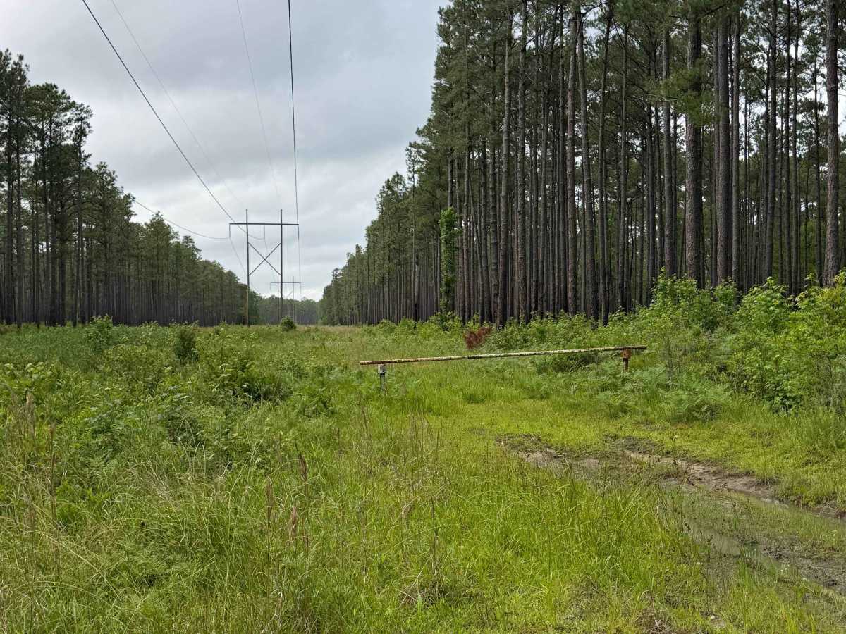 Briery Branch - FS 122 photo 4