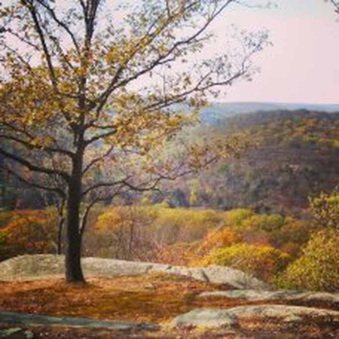 Near Ramapo Dunderberg/Triangle Loop