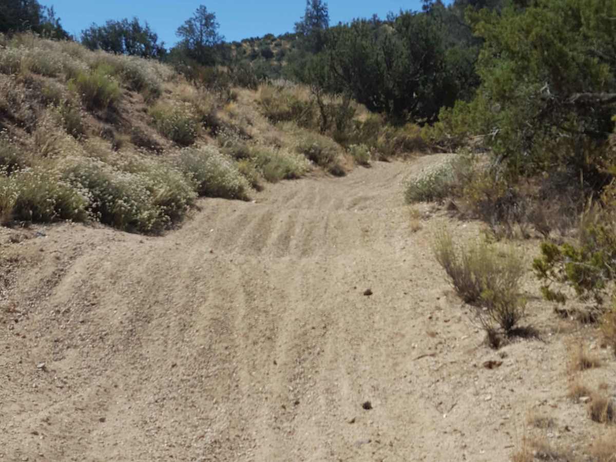 Trail 37 photo 2
