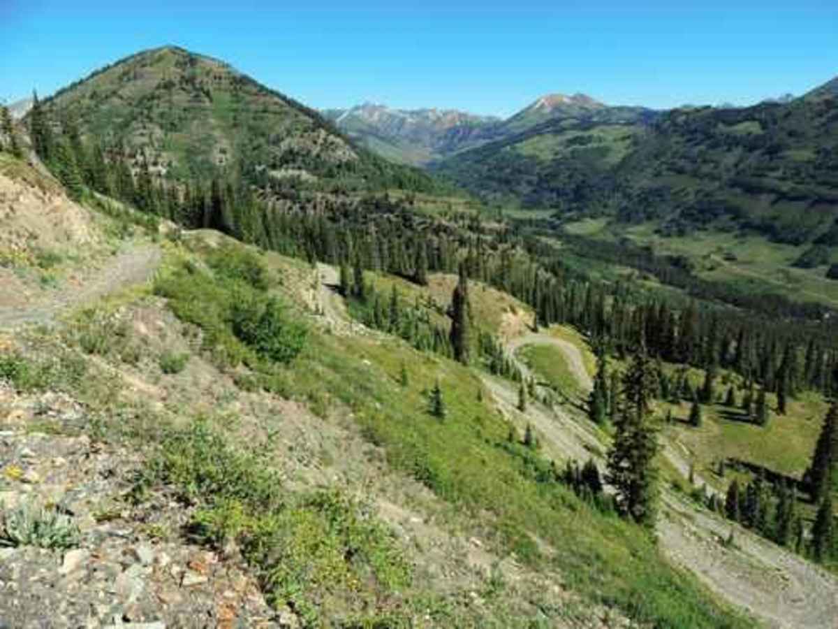 Gunsight Pass trail photo