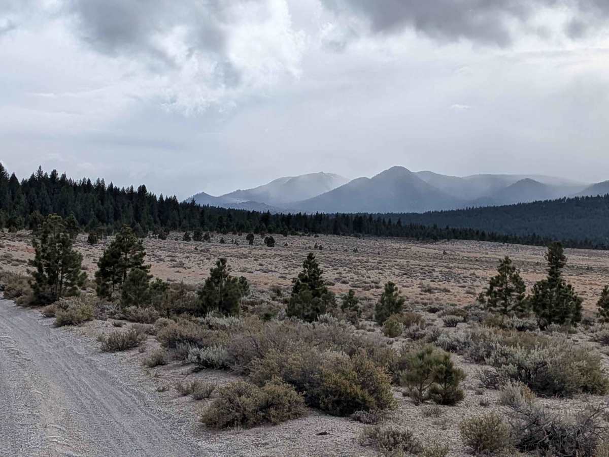 Mono Craters - FS 1S07 photo 5
