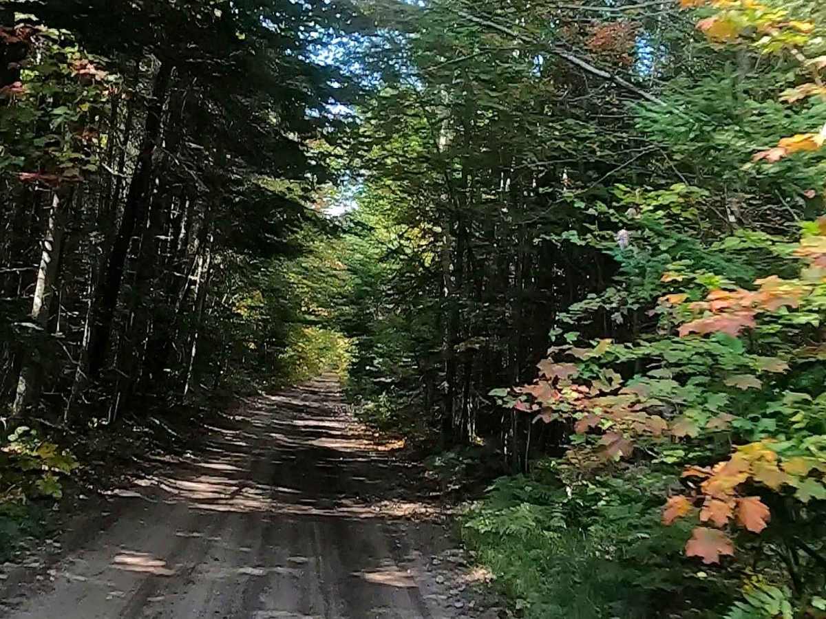 Caffey Truck Trail (ORV Route AI)  photo 5