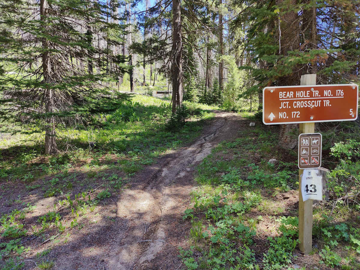 Bear Hole photo 2