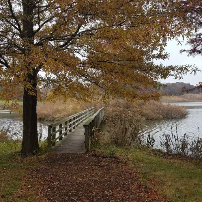 Bridge to Pirate Bay in November-Powell Gardens Near Powell Gardens