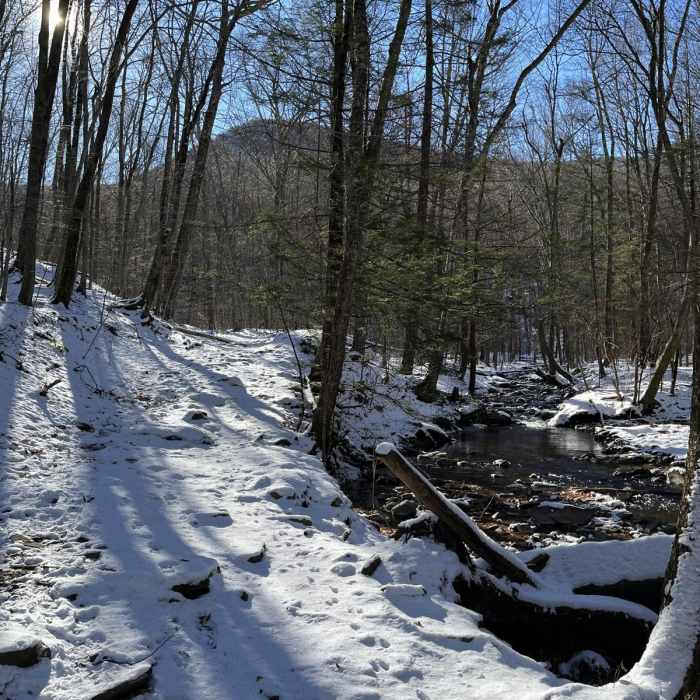 Near Ashokan High Point