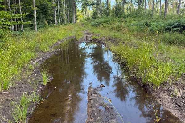 South Deer Trail