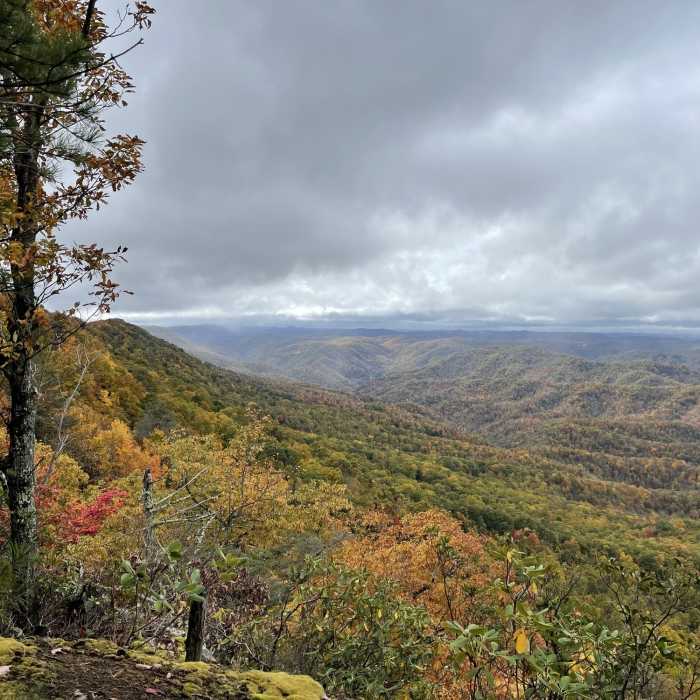 Buzz Worm Overlook along the Little Shepherd section of the Pine Mountain Trail Near Little Shepherd Trail