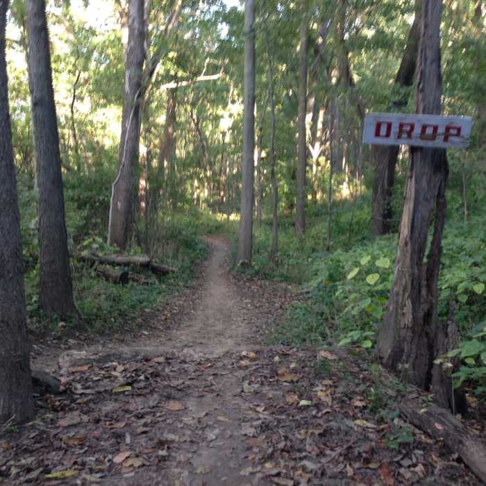 Small Drop Near Town Run Park