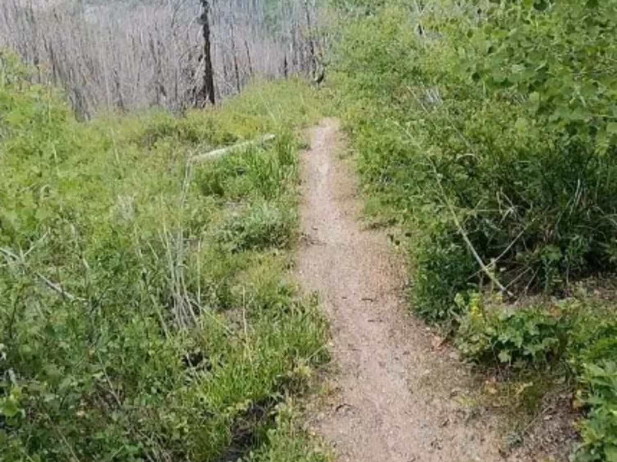 Green Creek Trail photo 3