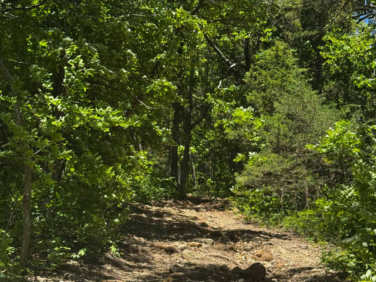 AJ's Bypass trail photo