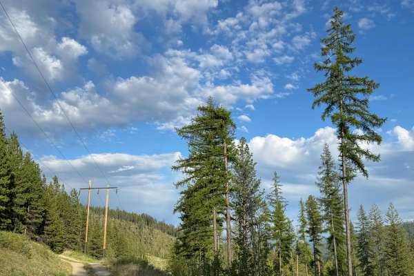 Old Sherman Highway