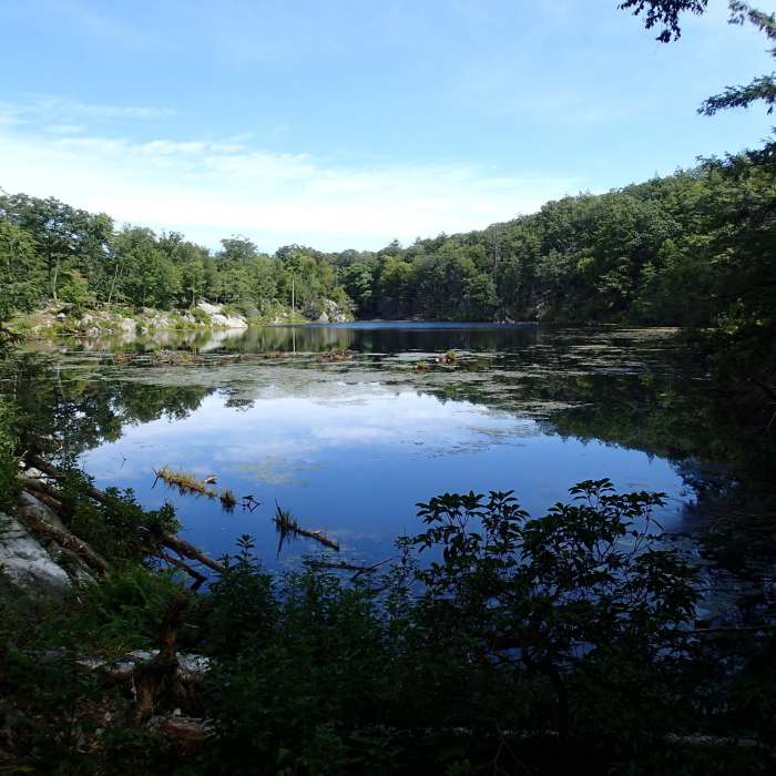 Near Roaring Brook Trail