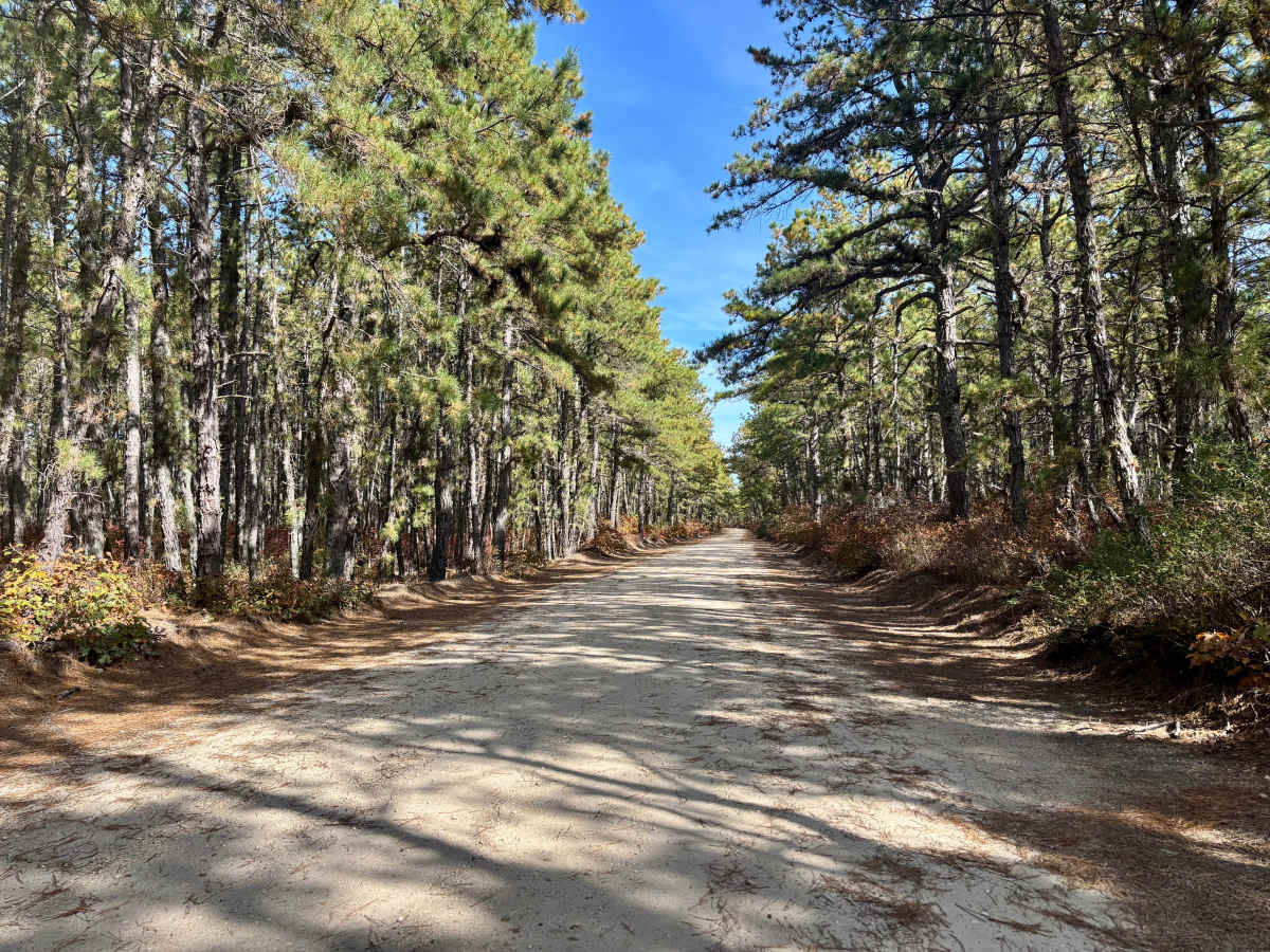 Dan's Bridge Road trail photo