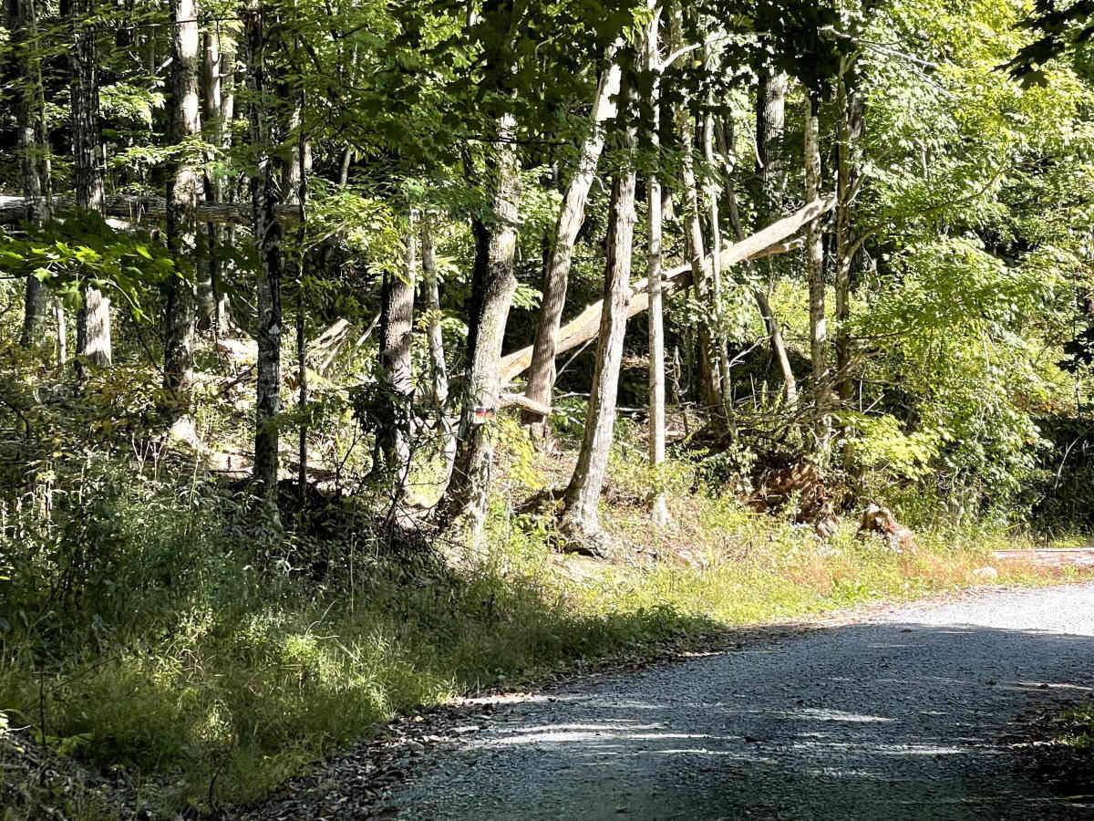 Mill Ridge photo 4
