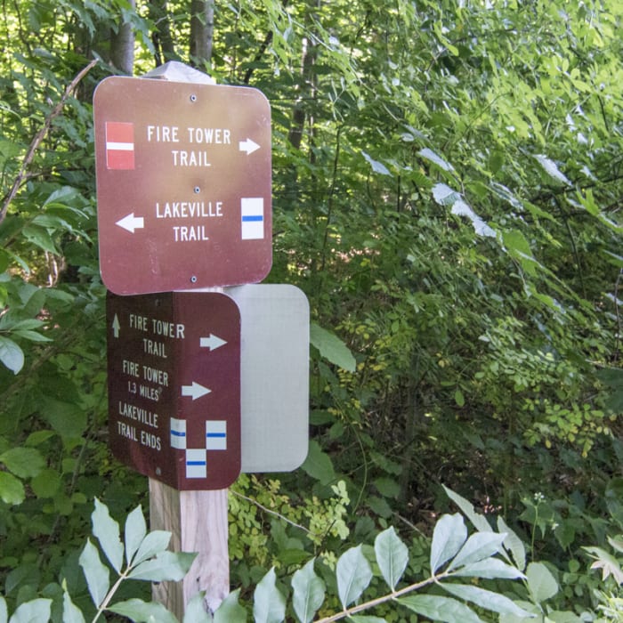 Near Sterling Fire Tower