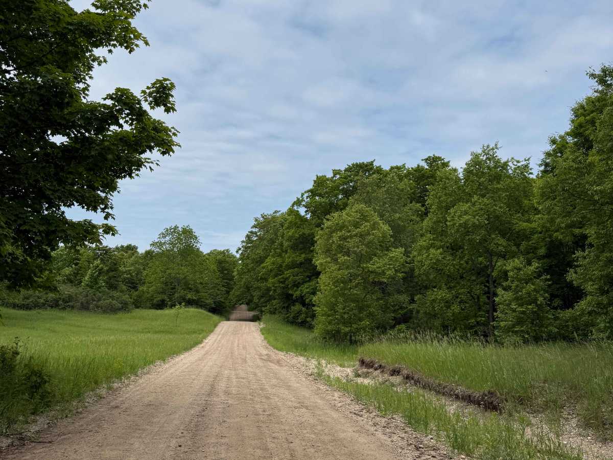 Townline Trail photo 4