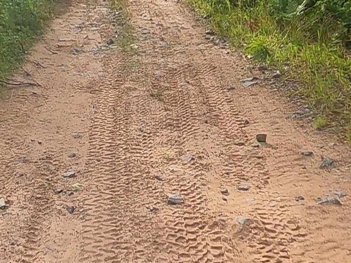 Aetna Mine Road photo 2