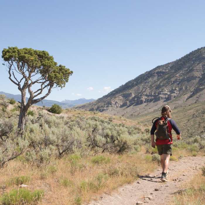Near Lava Creek Trail