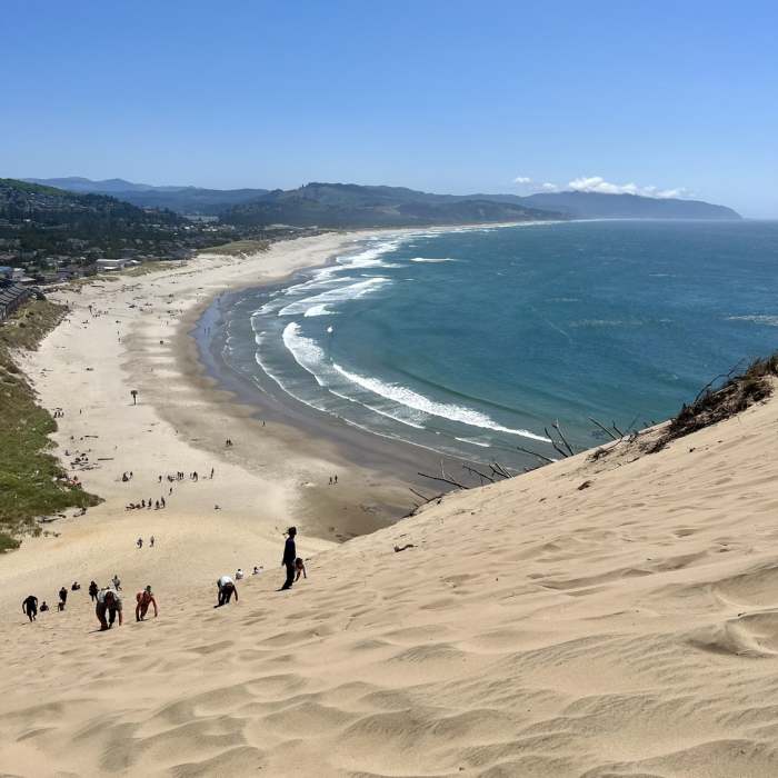 Near Cape Kiwanda Trail