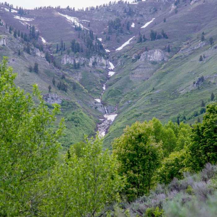 Near Wood Camp Hollow