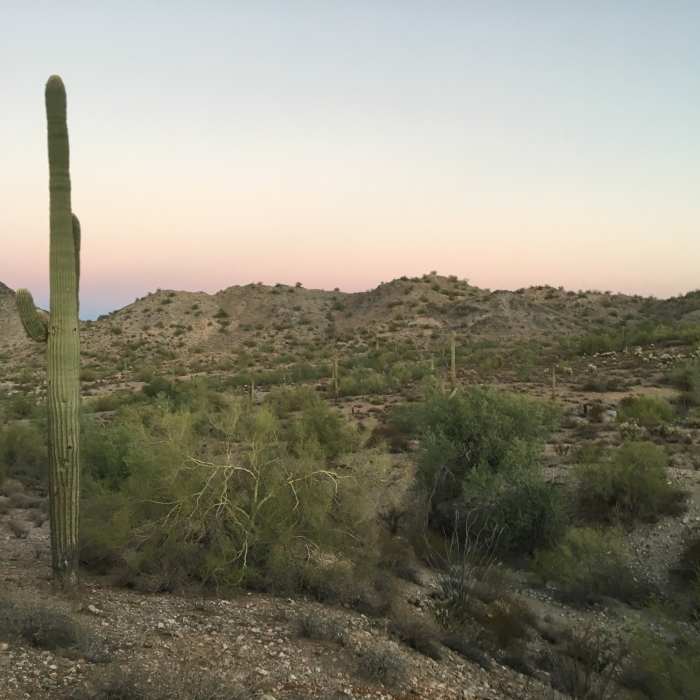Lower section of Dynamite Trail. Near Dynamite Trail