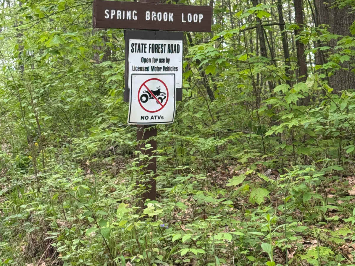 Spring Brook Loop trail photo