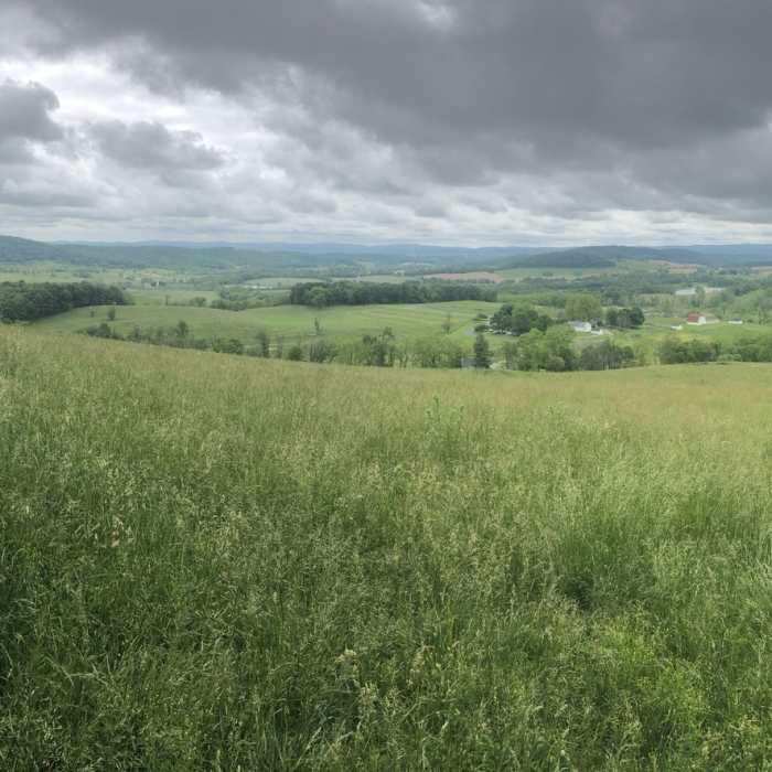 Near Piedmont Overlook Loop