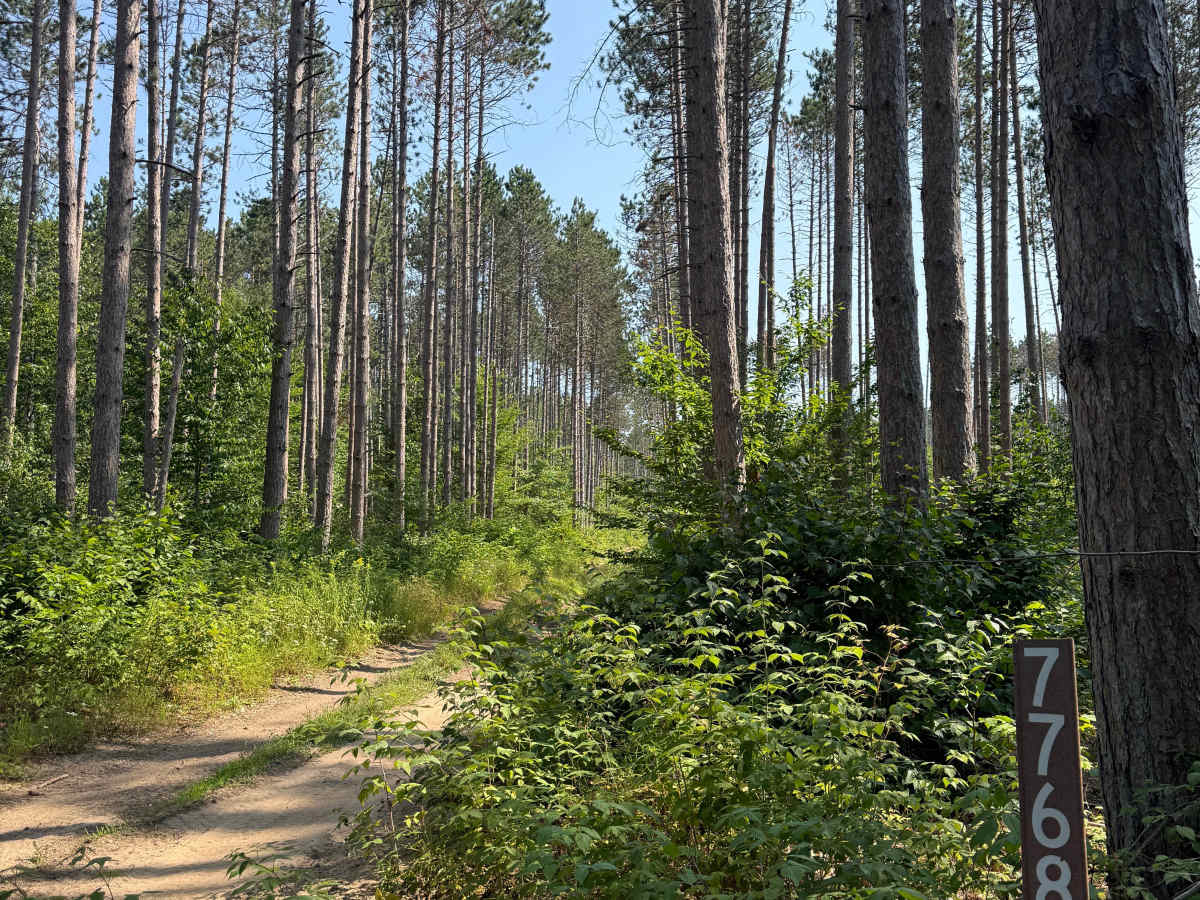 FS 7768 trail photo