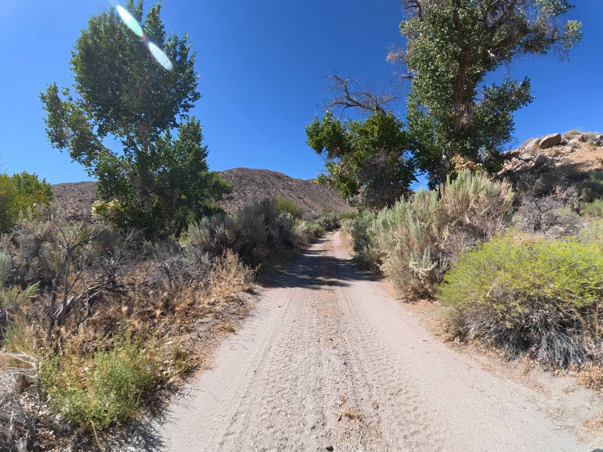 Cottonwood Creek Road trail photo