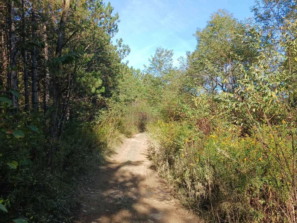 Inner Loop - East - Rock Run Recreation Area photo 3