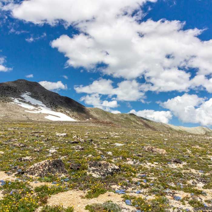 Near Mount Powell to Deer Lodge Mountain Loop