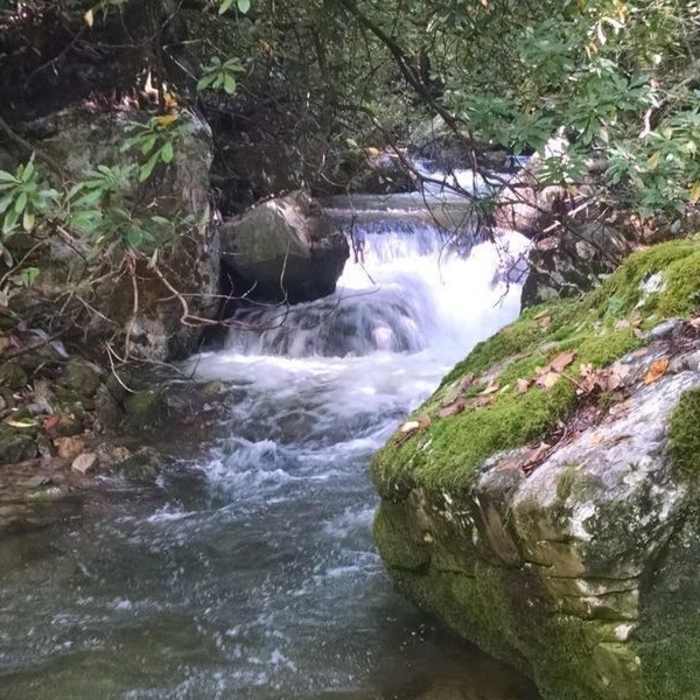 Near Rocky Fork Trail