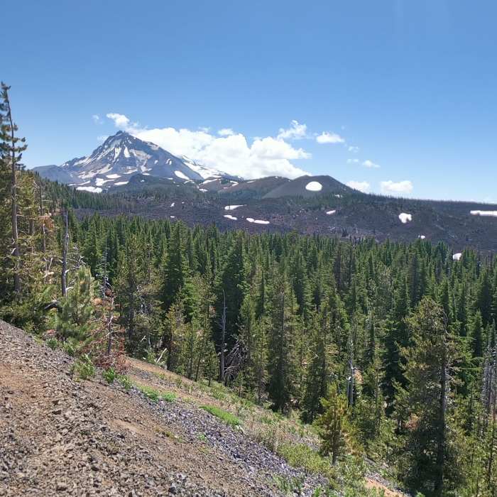 Near North Matthieu Lake Trail #4062