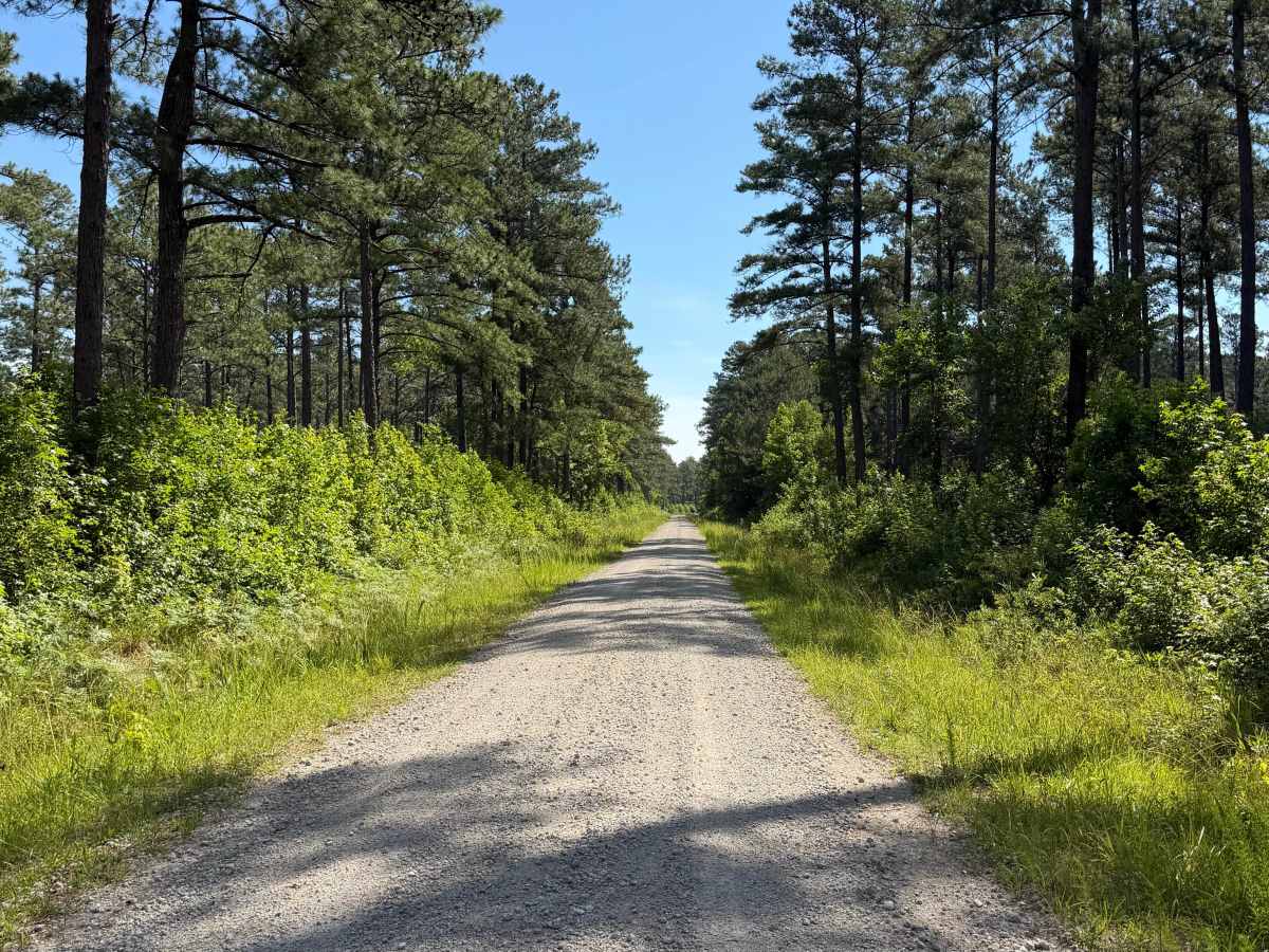 Brown Road - FS 121D photo 5