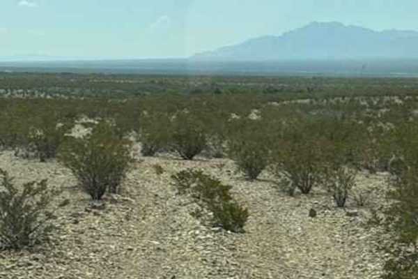 SS1170 - Part B