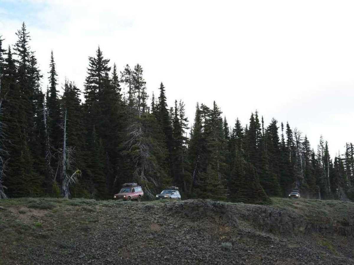 Bethel Ridge Central - NF 325a 4WD photo 4