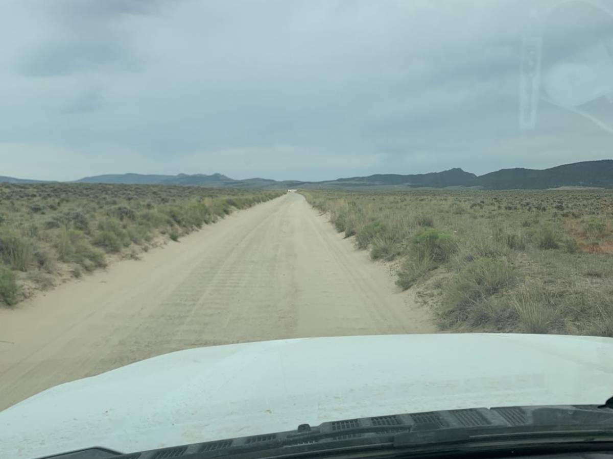 Pipeline East photo 3