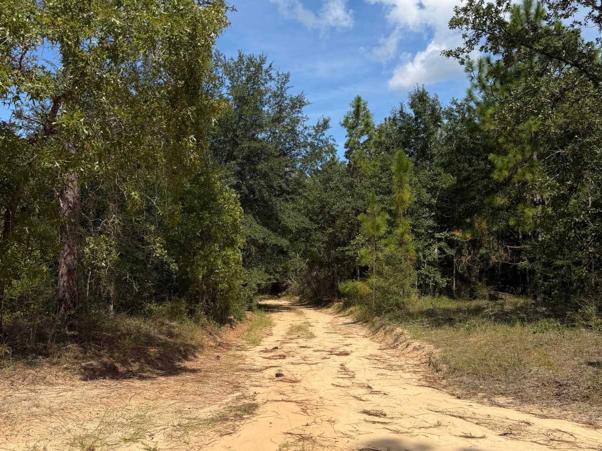 Blackwater River R76 photo 2